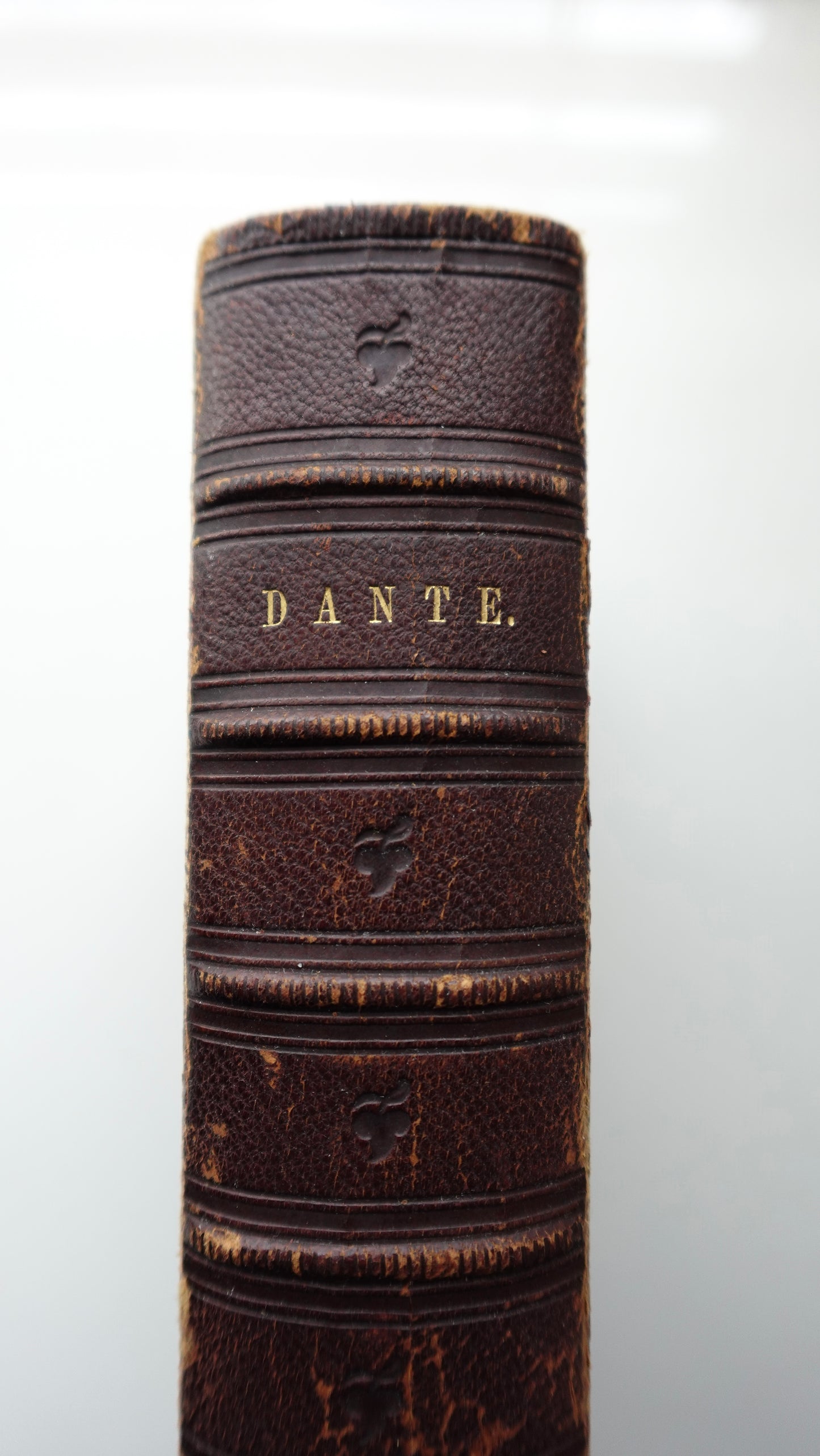 The Vision - Dante Alighieri