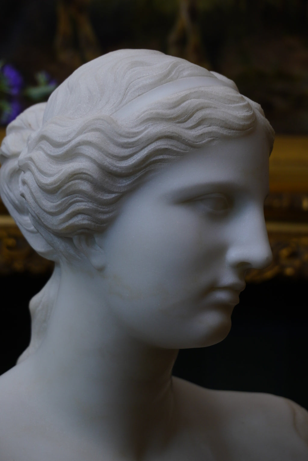 Large Marble Bust of Venus de Milo