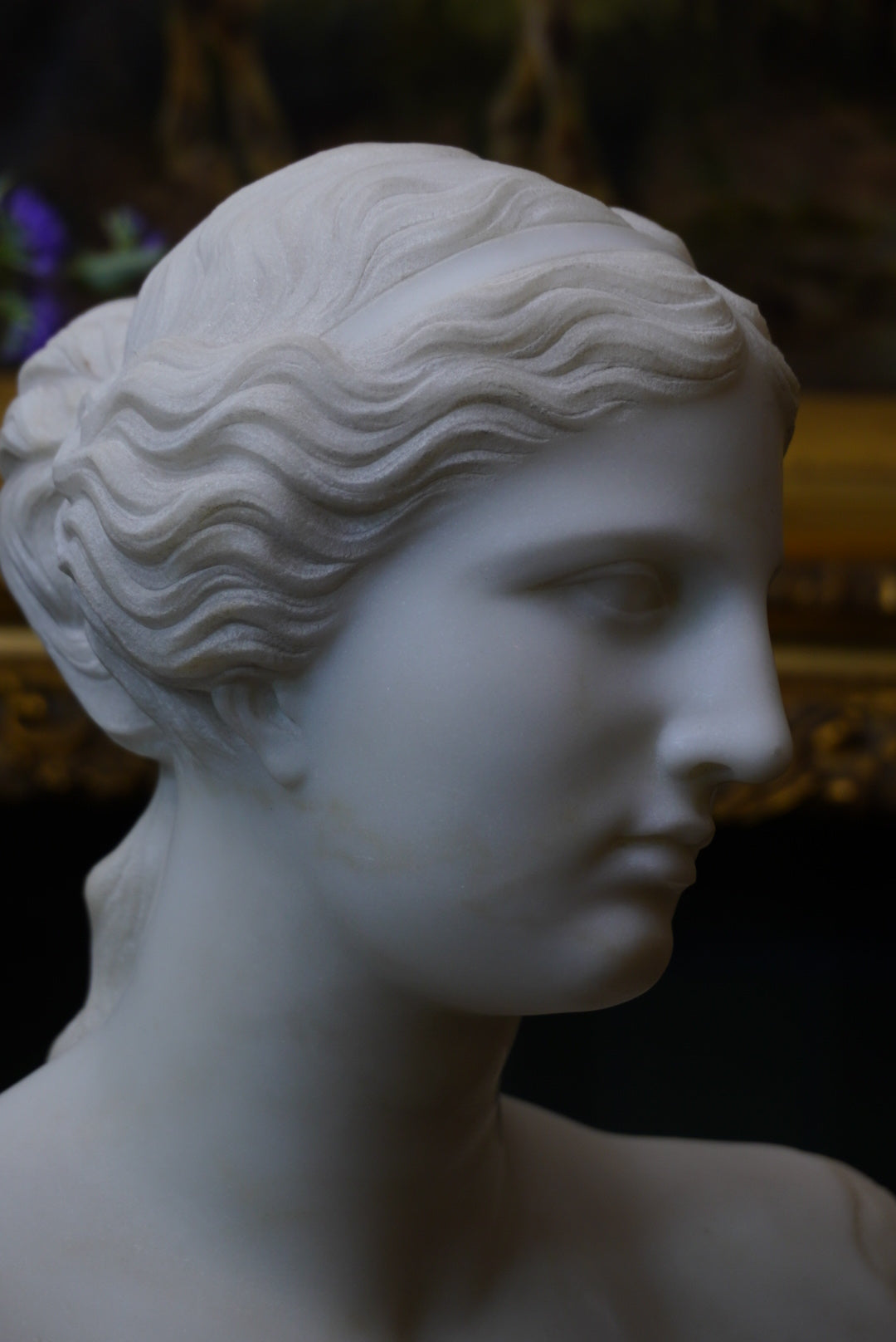 Large Marble Bust of Venus de Milo