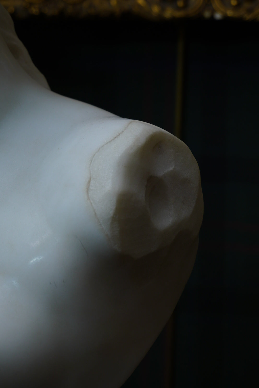 Large Marble Bust of Venus de Milo