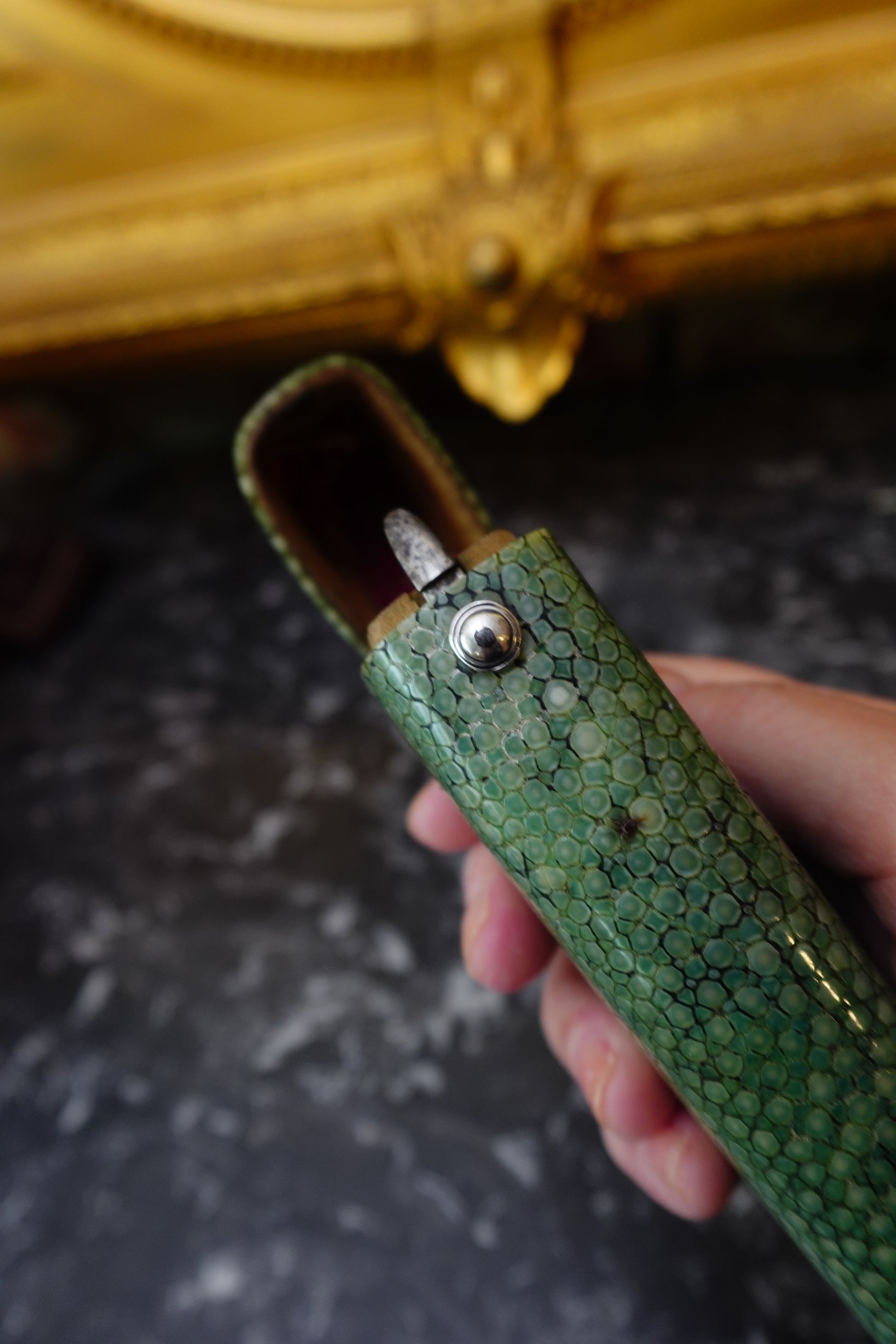 Antique Green Shagreen Etui with Silver Monogram Plaque, c.1880–1900