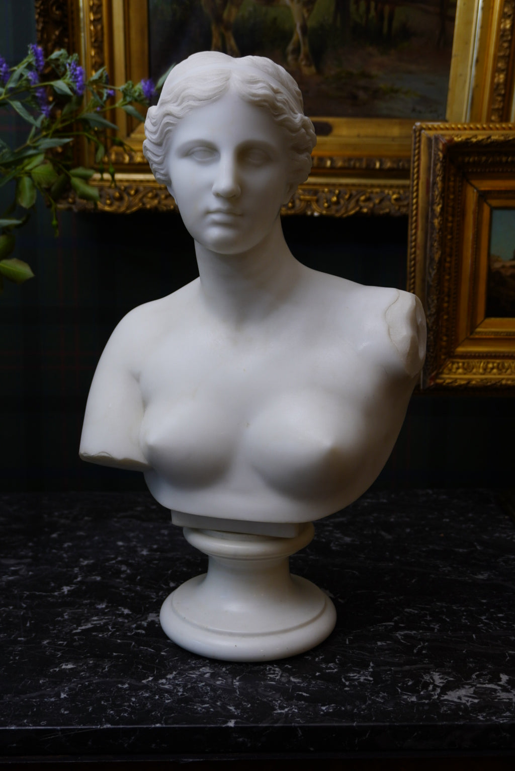 Large Marble Bust of Venus de Milo