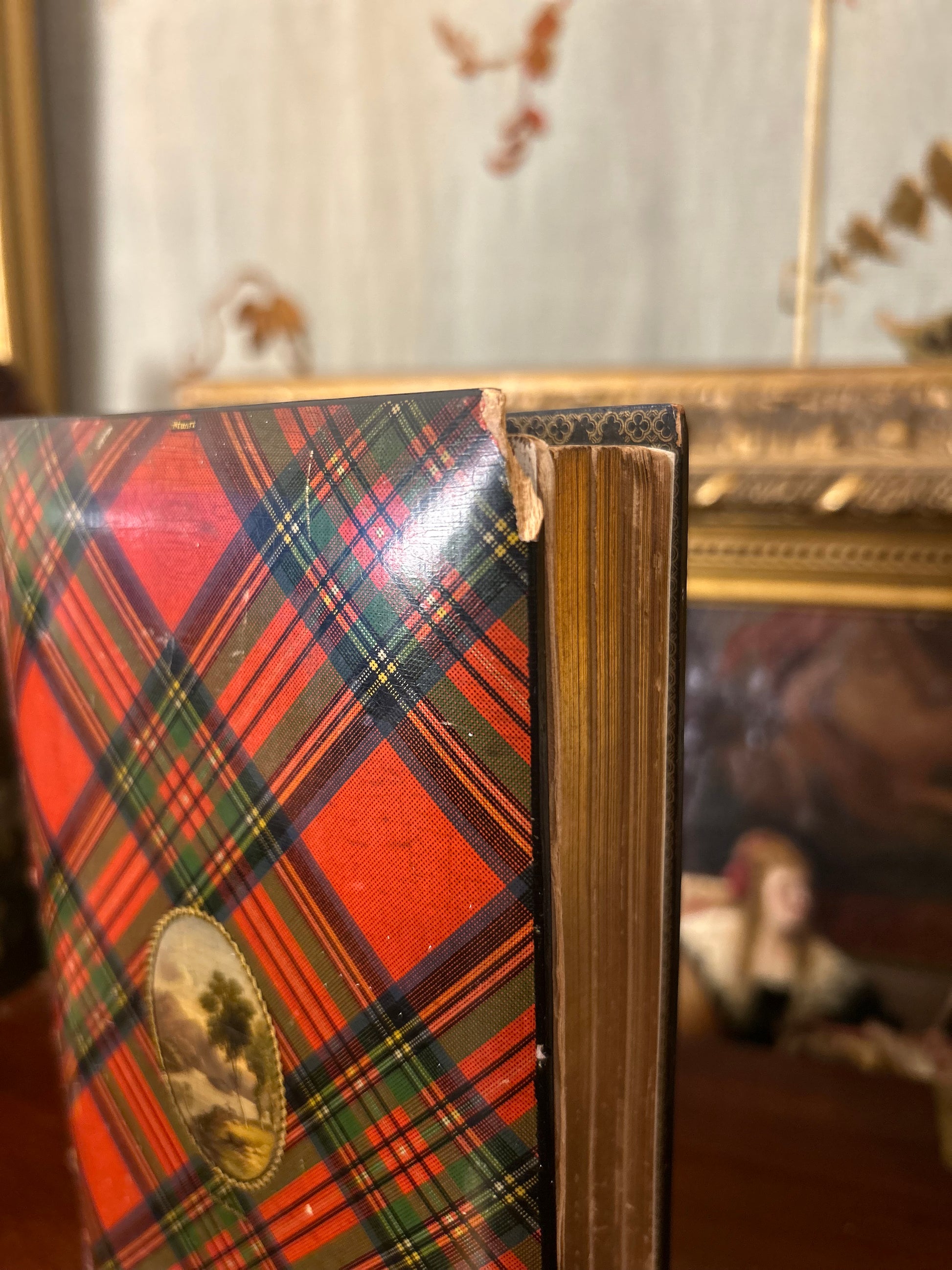 Lady of the Lake Book