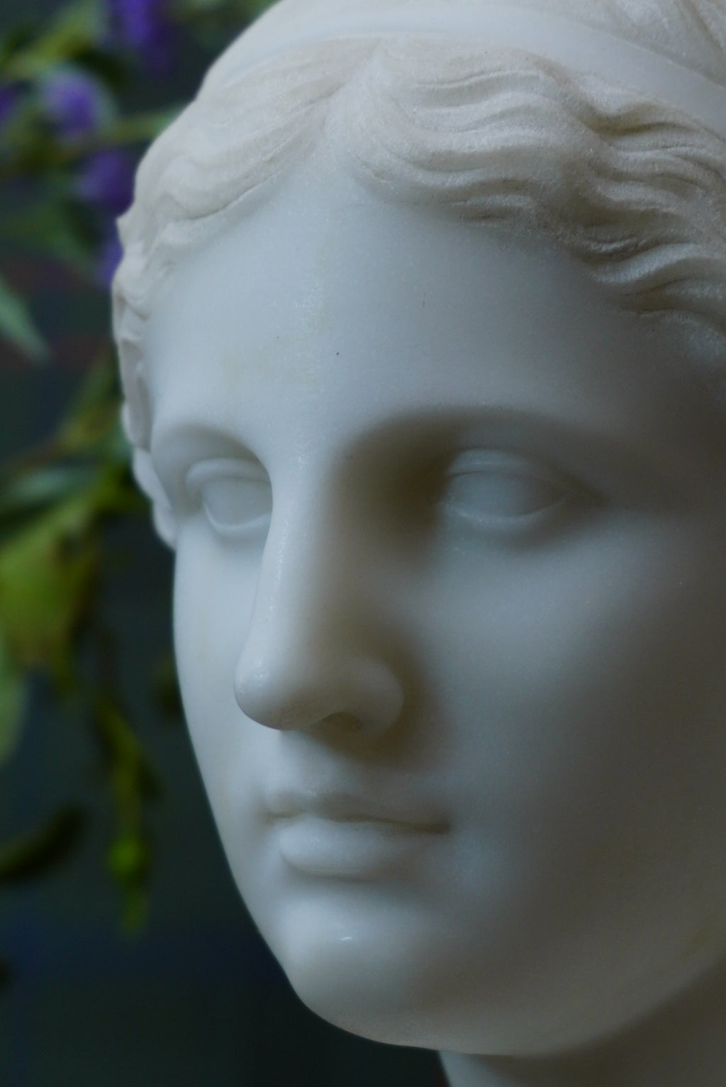 Large Marble Bust of Venus de Milo