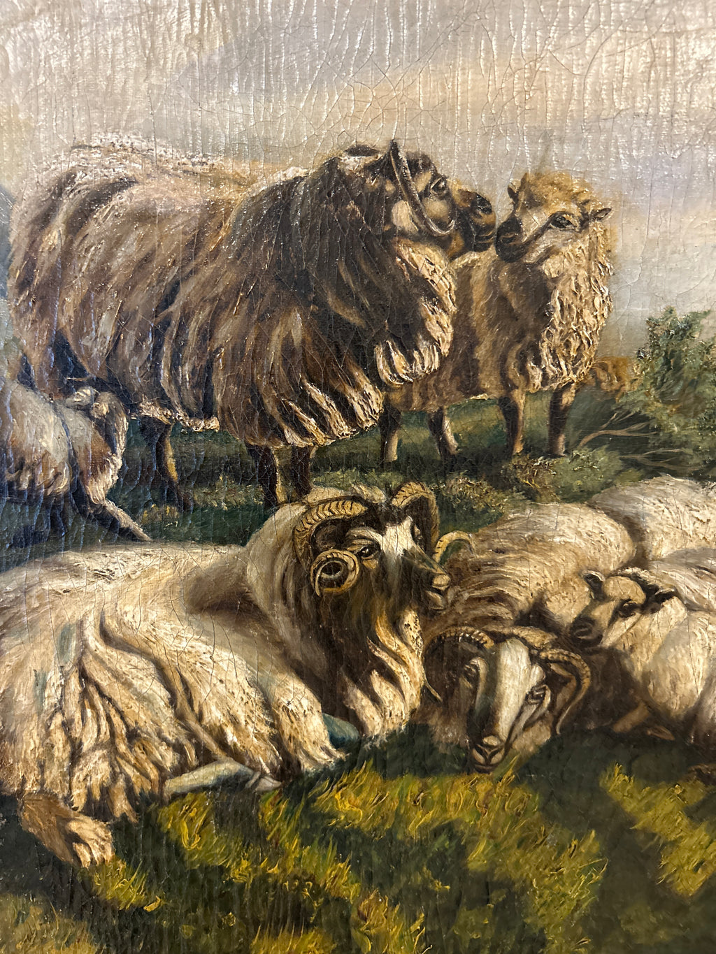 Highland Sheep Landscape Oil Painting in Rustic Wood Frame