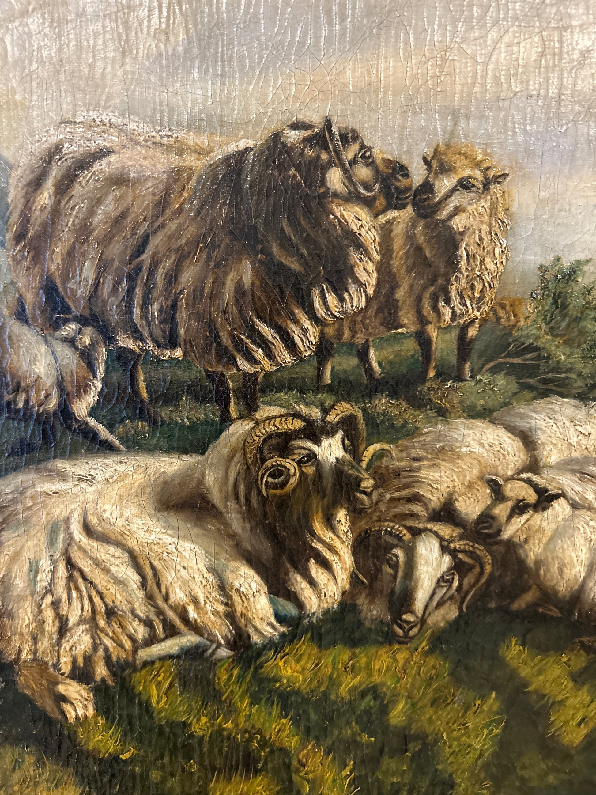 Highland Sheep Landscape Oil Painting in Rustic Wood Frame