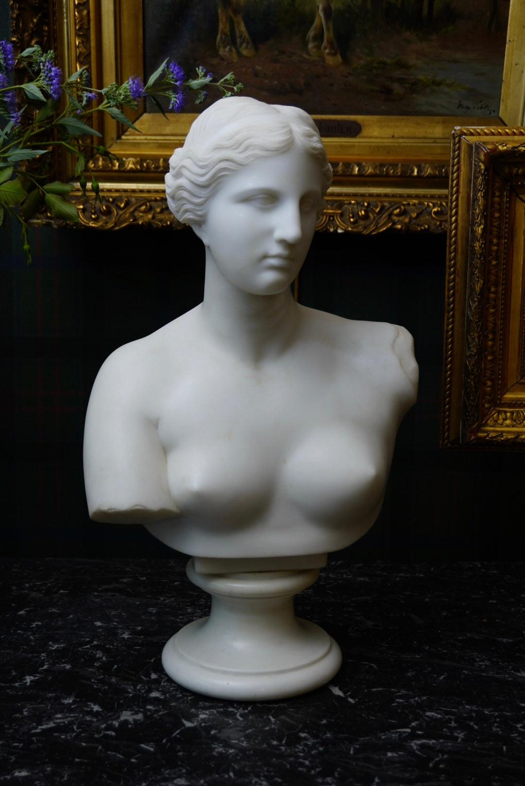 Large Marble Bust of Venus de Milo