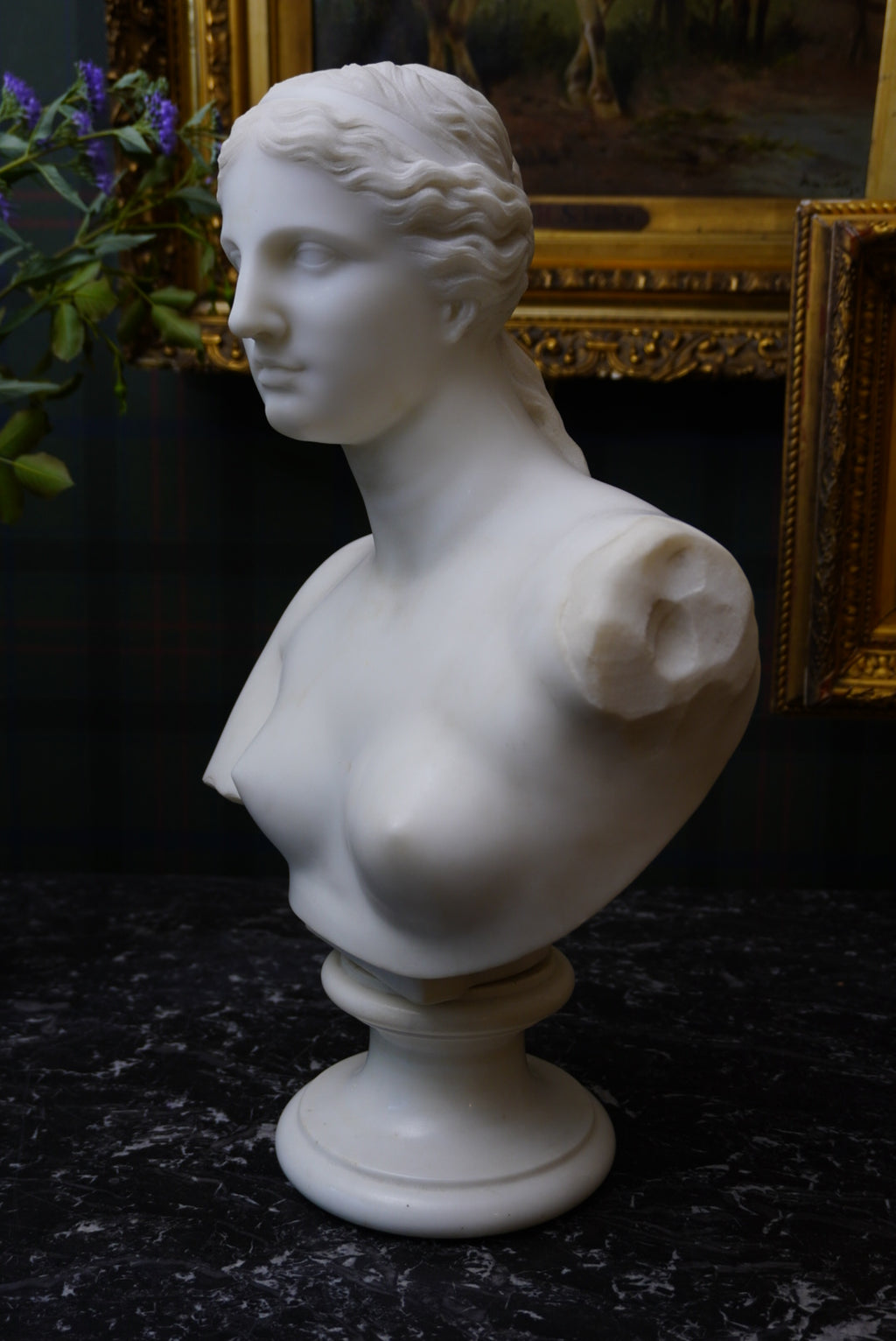 Large Marble Bust of Venus de Milo